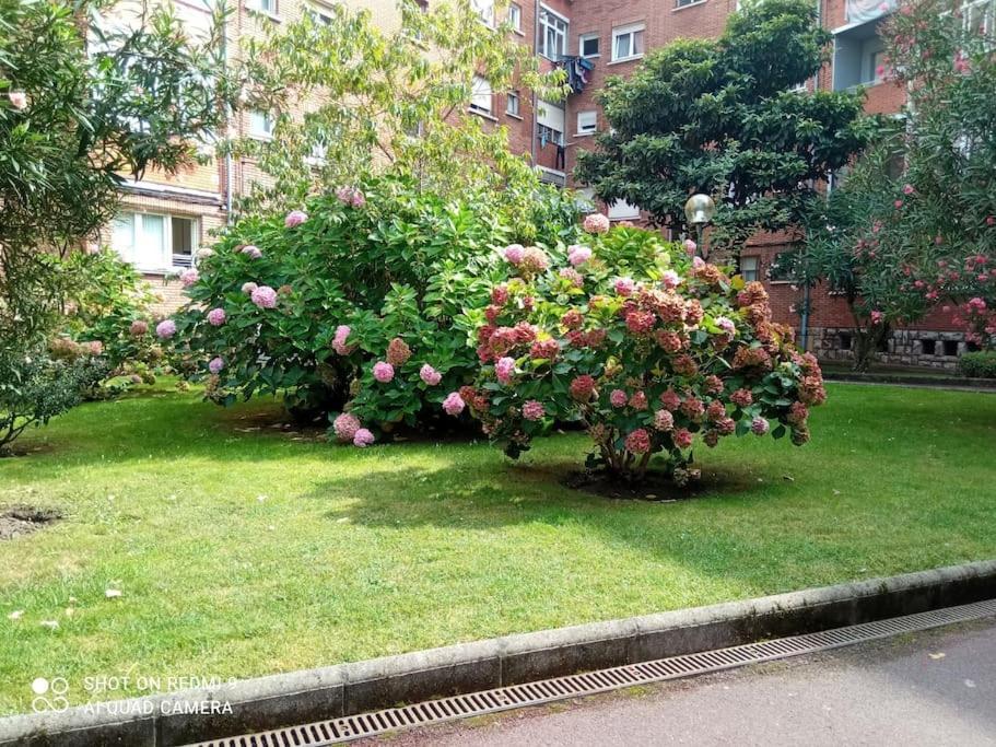 Lovely Apartment In Getxo Ngoại thất bức ảnh